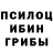 Галлюциногенные грибы мицелий Chakya Gaillard
