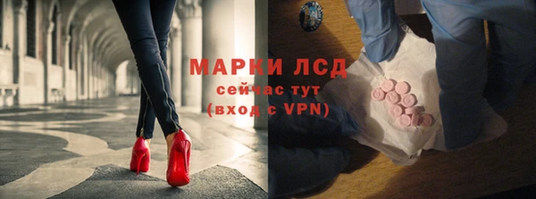 стаф Алзамай
