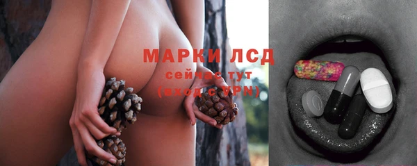 стаф Алзамай
