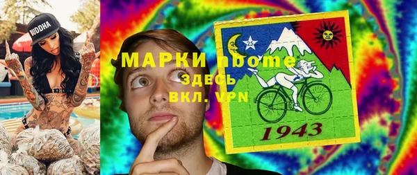 стаф Алзамай