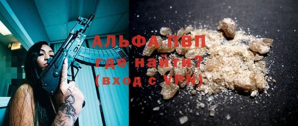 стаф Алзамай