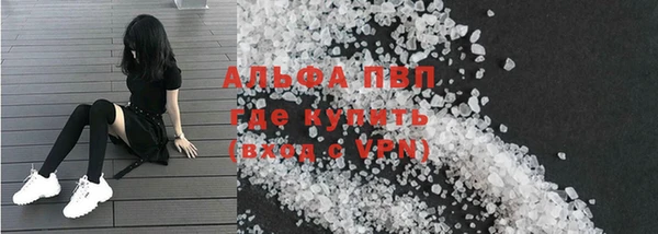стаф Алзамай
