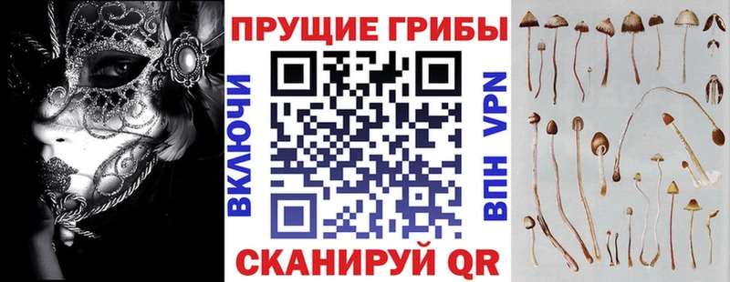 Псилоцибиновые грибы MAGIC MUSHROOMS  где найти   Чаплыгин 