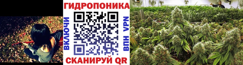 Канабис ГИДРОПОН  дарк нет телеграм  Чаплыгин 